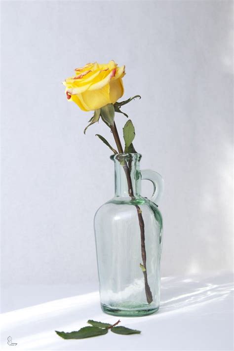 Yellow Rose In An Old Bottle Flower Painting Flower Vase Arrangements Still Life