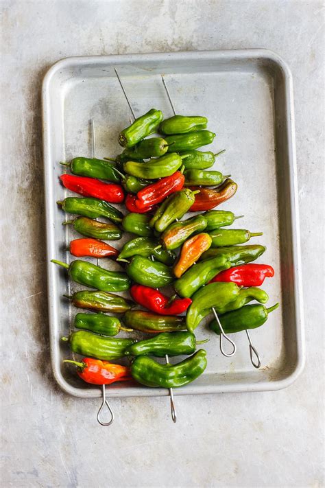Mix it with cucumber, mint, and dill for a knockout tzatziki, or use pineapple, curry leaves chilean tomato and pepper sauce (pebre). Blistered Shishito Peppers with Cilantro Lime Dipping ...