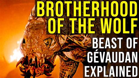 Brotherhood Of The Wolf The Beast Of Gévaudan Explained Youtube