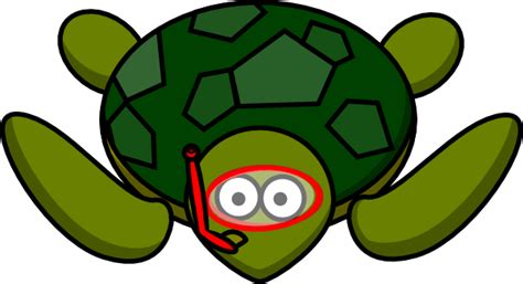 Baby Turtle Clipart Free Download On Clipartmag