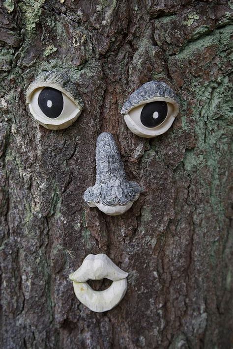 Tree face decor glow eyes in dark, fun old man tree sculpture 4 pieces. Tree Face Photograph by Allan Morrison