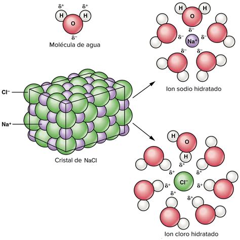 Iones Tipos Iones Positivos Negativos Y Mucho Más