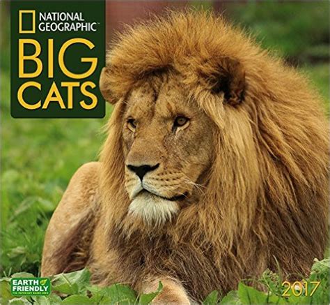 Wild Cat Calendars ~ Big Cat Calendars ~ Tigers ~ Lions ~ 2022