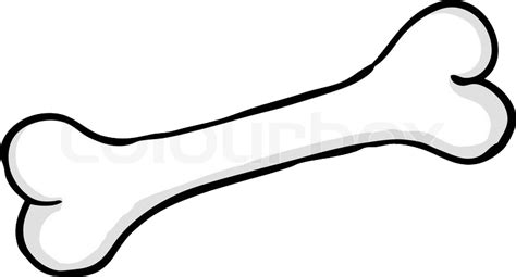 Bone Png Transparent Image Download Size 800x432px