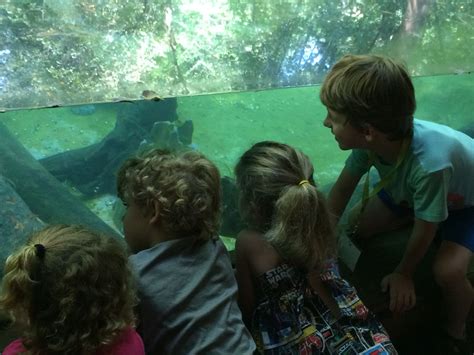 Zoo Rentals Greenville Zoo Sc