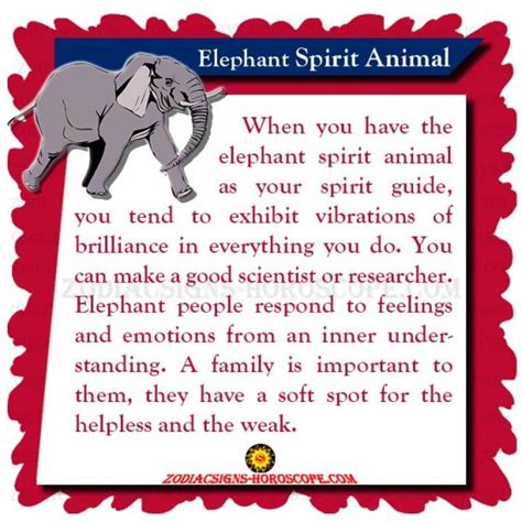 Elephant Spirit Animal Meaning Symbolism Dreams Of Elephant Totem