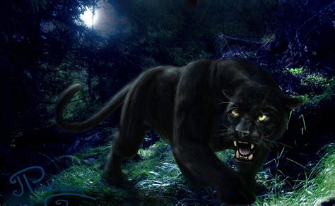 Jumping Black Panther Animal Wallpapers - Top Free Jumping Black