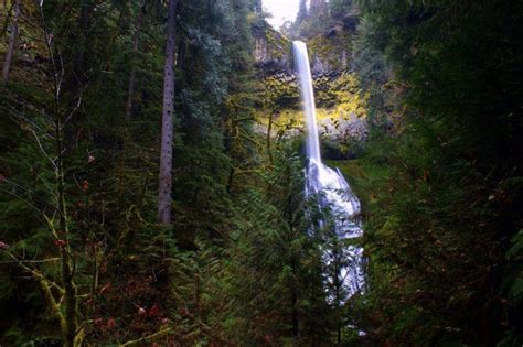 9 Top Secret Waterfalls To Visit In Oregon Before Word Gets Out