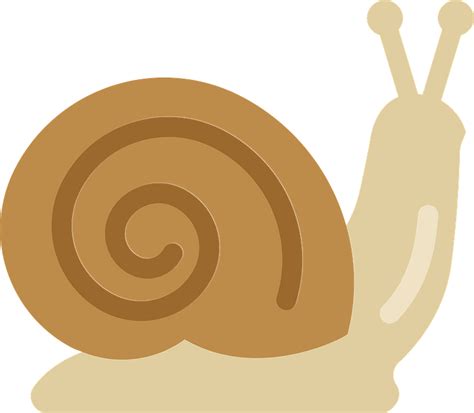 Snail Clipart Free Download Transparent Png Creazilla