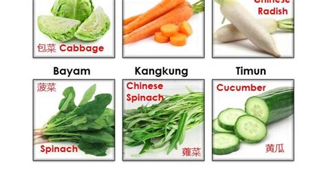 Buah umumnya melindungi dan membungkus biji dan berfungsi sebagai pemencar biji tumbuhan. Collection of Nama Nama Sayur Sayuran Dan Bahasa Latin ...