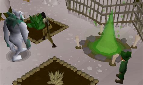 Farming pet chance?, what can i do to maximize my chance at getting the pet through farming on farming pet chance? Old School RuneScape Mobile Release, Troll Quest and More ...