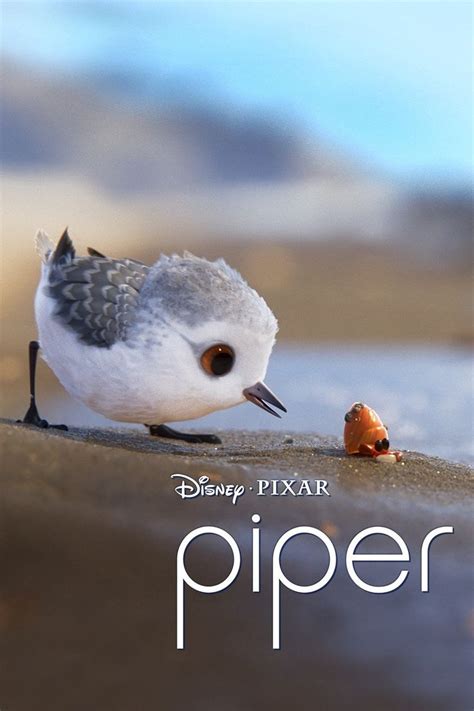 The Beautifully Animated Short Film Piper Is Nominated For A 2017