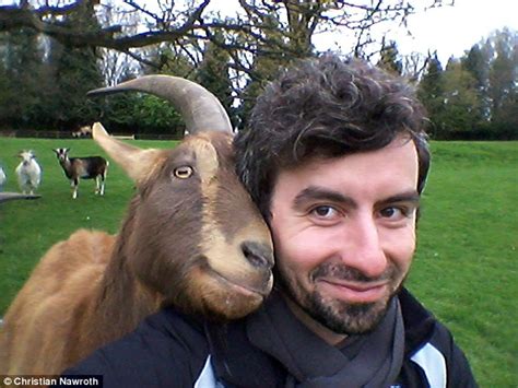 Goats Have Ability To Talk To Humans According To New Queen Mary