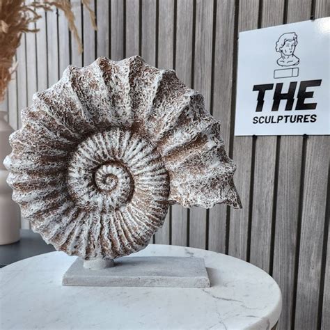 Sea Shell Sculpture Etsy