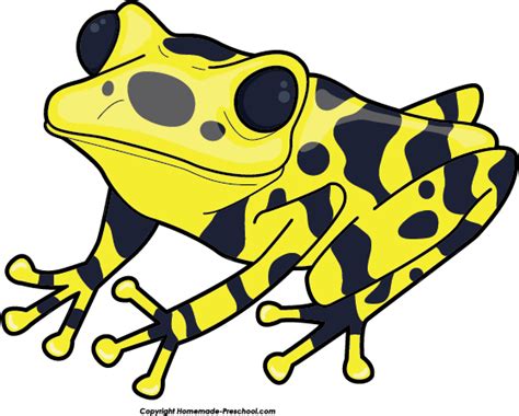 Poison Dart Frog Clipart Download Poison Dart Frog Clipart For Free 2019