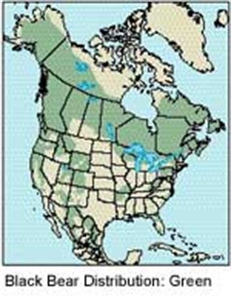 By playing sheppard software's geography games, you will gain a mental map of the world's continents, countries, capitals online math games, like the ones that you'll find for free at sheppard software ,. Black Bears - info and games