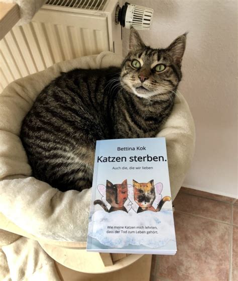 Eine heulende katze für zwischendurch. „Literatur ganz nach meinem Geschmack." - Expert ...