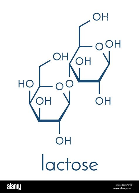 Lactase Stock Photos And Lactase Stock Images Alamy
