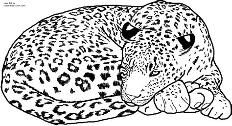 Sélection de coloriage guépard à imprimer sur LaGuerche.com - Page 2
