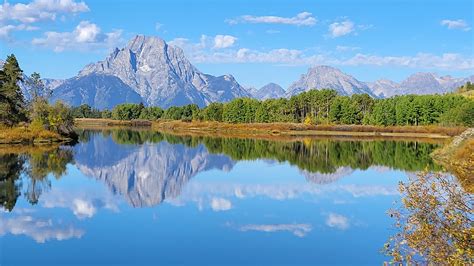 Phog Photogs…