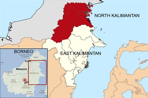 Indonesias East Kalimantan Loses Forest Area To New Province In Borneo