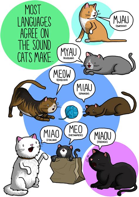 As there is more than one animal whose sounds are being discussed, i am moving the apostrophe for you before. Curious how animal sounds are interpreted in different ...