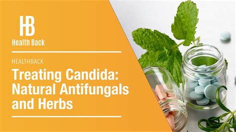 Treating Candida Natural Supplements And Herbs Youtube