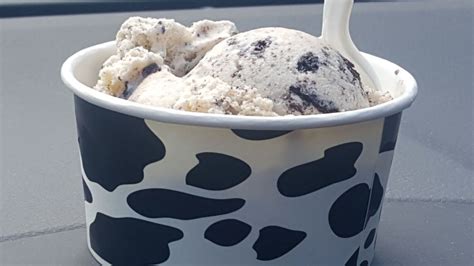 Scoop Du Jour Ice Creamery Updated May Photos Reviews E Madison St