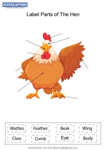 label parts   hen worksheets  kindergartenfirstsecond grade