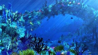 Underwater Fish Tropical Ocean Unterwasser Wallpapers Wallpapersafari