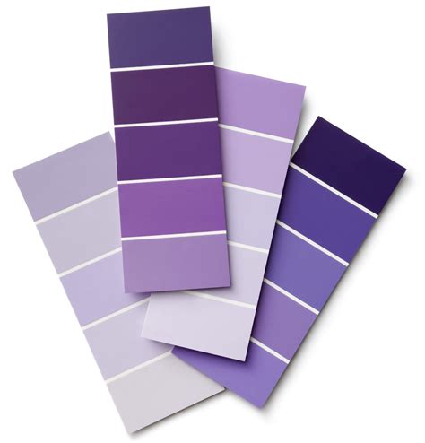 Lista 101 Imagen De Fondo Cual Es El Color Violeta Imágenes Actualizar