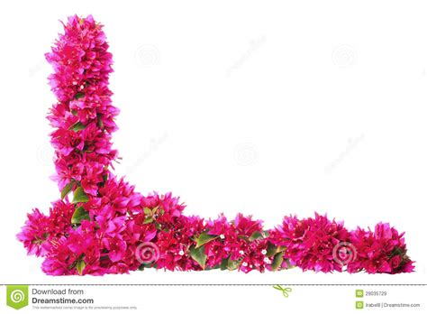 Lavender flowers purple border seamless pattern vector. Purple Floral Border Royalty Free Stock Images - Image ...