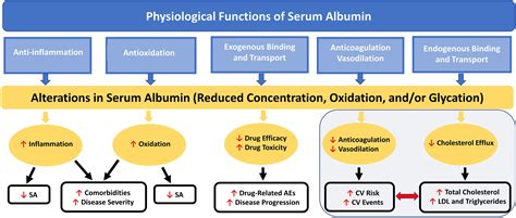 Frontiers Clinical Significance Of Serum Albumin And Implications Of