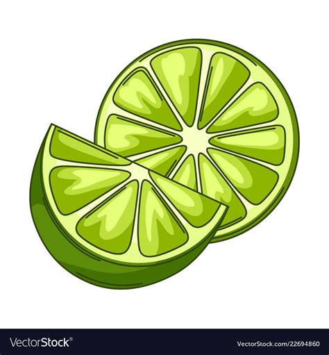 Illustration Of Limes Whole And Slices Green Stylized Citrus Fruits