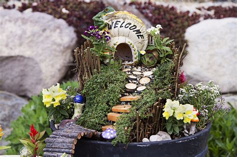 Believe in Magic –Fairy Garden Inspiration | Espoma