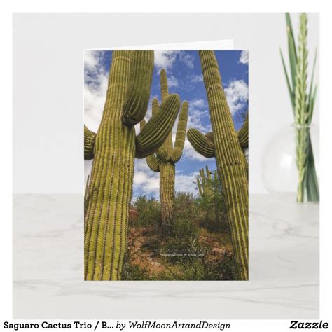 Saguaro Cactus Trio Blue Sky And Clouds Arizona Card Zazzle Blue