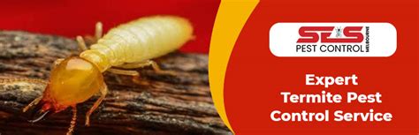 How to get franchise leads in 2021. Tips to Get Rid of Termite from your Home - SES Pest ...
