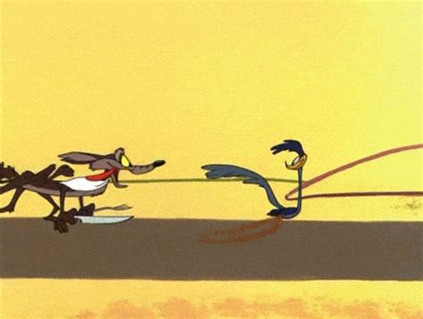 wile e coyote and the road runner looney tunes 1949 r nostalgia