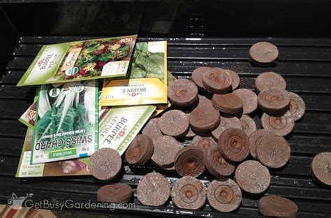 Peat pellets are a quick, easy, clean and compact way for a backyard gardener to start seedlings. Seed Starting Peat Pellets Vs. Soil: Which Should You Use ...