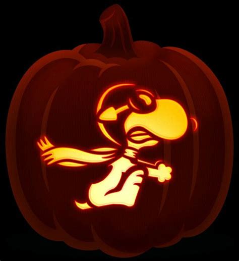 111 Best Snoopy Patterns Images On Pinterest Halloween Pumpkins