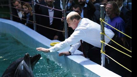 Lazer De Vladimir Putin