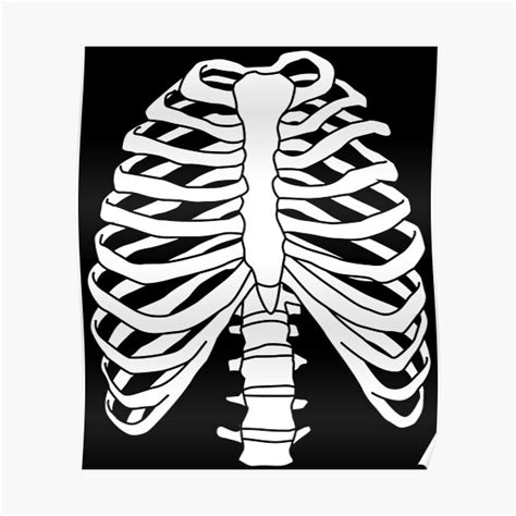 Skeleton Rib Cage Funny Halloween Anatomy Costume T Poster By