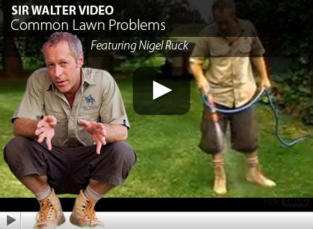 For instance, the cultivar 'sir walter' has an optimum nitrogen requirement of. Lawn Care Guides, articles and videos tagged with army worms | Love your Lawn