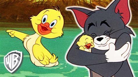 Challenge your mind, speed, accuracy, and coordination with colorful free online games. Tom & Jerry em Português | O Melhor do Patinho ...