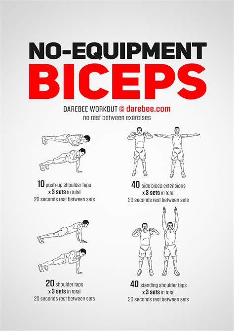 Träningsprogram För Biceps Bästa Armövningarna