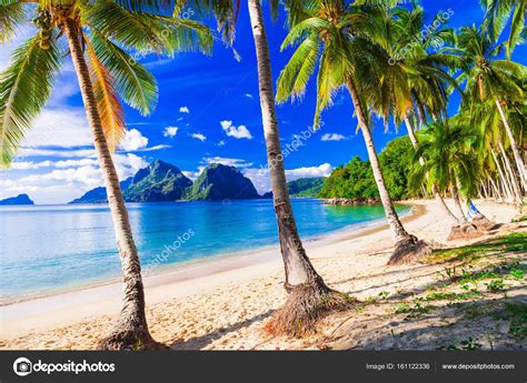Relaxing Tropical Scenery With Beautiful Palm Beach