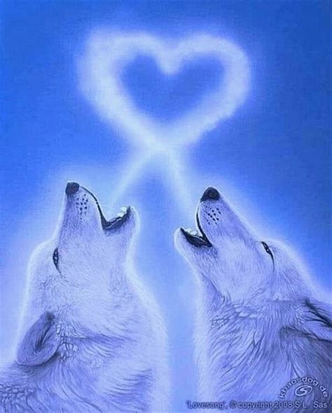 Good Morning 🌏 Buongiorno🌏 Wolf Spirit Animal Wolf Love Wolf Artwork