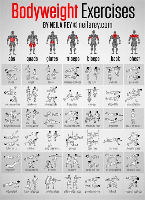If you are planning to lose some weight, a weight loss workout plan for yourself will be of great help to you. "Found, Saved, Never Used": No more | Bodyweight workout ...
