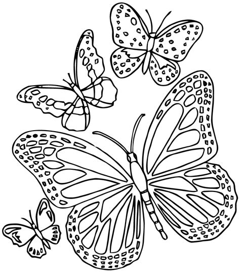 Butterfly Mandala Coloring Pages at GetColorings.com | Free printable