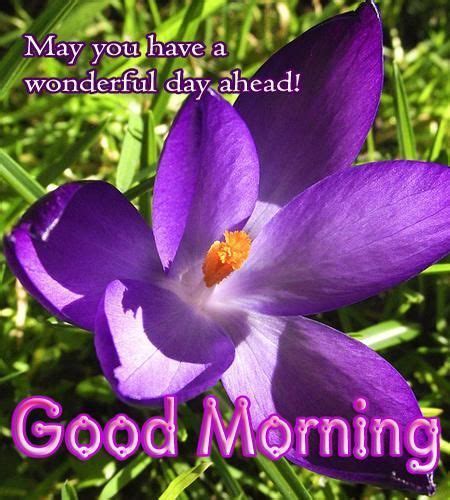 It's a wonderful life is a movie that you can watch over and over again. May You Have A Wonderful Day Ahead Good Morning Pictures ...